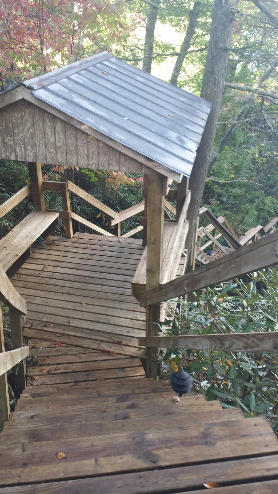 Metal roofed shelter over wooden steps on a wooded walkway — Skylight Repair & Installation work by our crew in Mill Valley