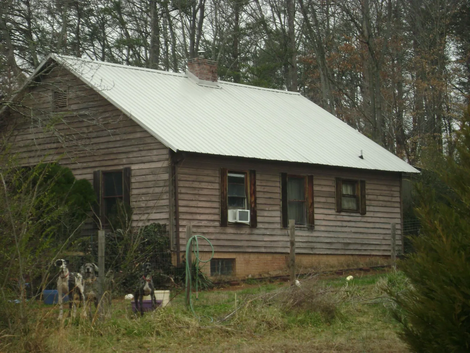 White metal roof on an old wood sided farmhouse, from a Asphalt Shingle Roof Repair job in Mill Valley